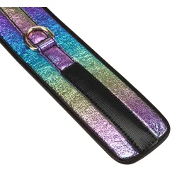 Rainbow bondage pack item 4