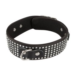 Bad Kitty - Restraint Kit